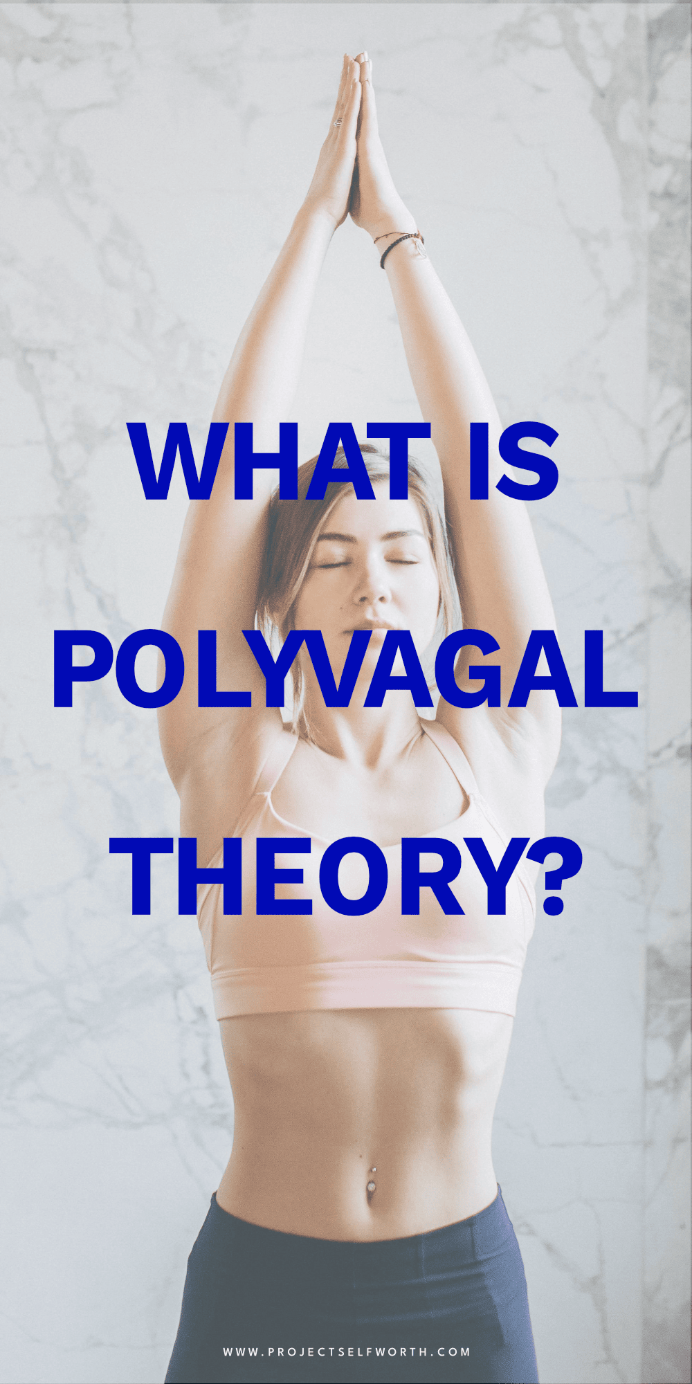 What Is Polyvagal Theory? Understanding The 4 Trauma Responses